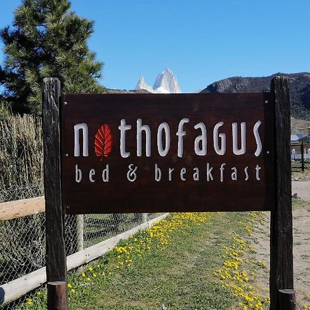 Nothofagus Bed & Breakfast Ел Чалтен Екстериор снимка