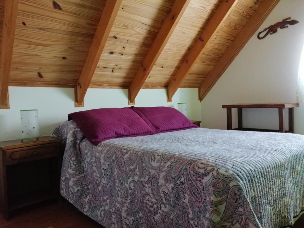 Nothofagus Bed & Breakfast Ел Чалтен Екстериор снимка